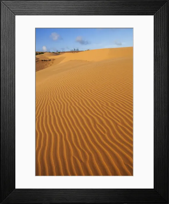 Framed Print : Vietnam, Mui Ne, Sand Dunes and Tourists Framed Print : Vietnam, Mui Ne, Sand Dunes and Tourists