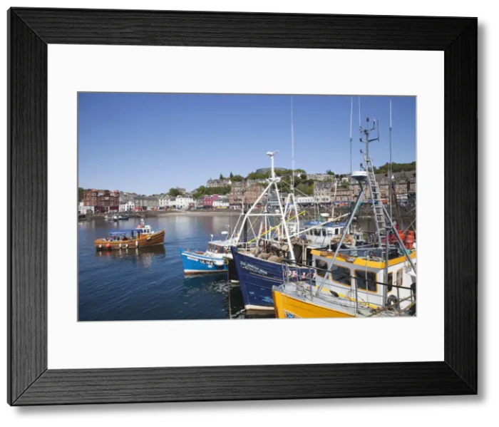 Framed Print : UK, Scotland, Argyll, Oban Framed Print : UK, Scotland, Argyll, Oban