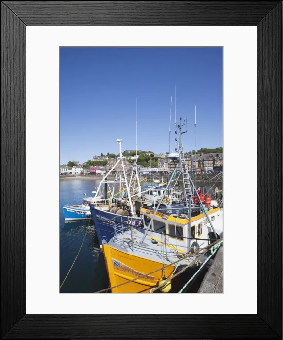 Framed Print : UK, Scotland, Argyll, Oban Framed Print : UK, Scotland, Argyll, Oban