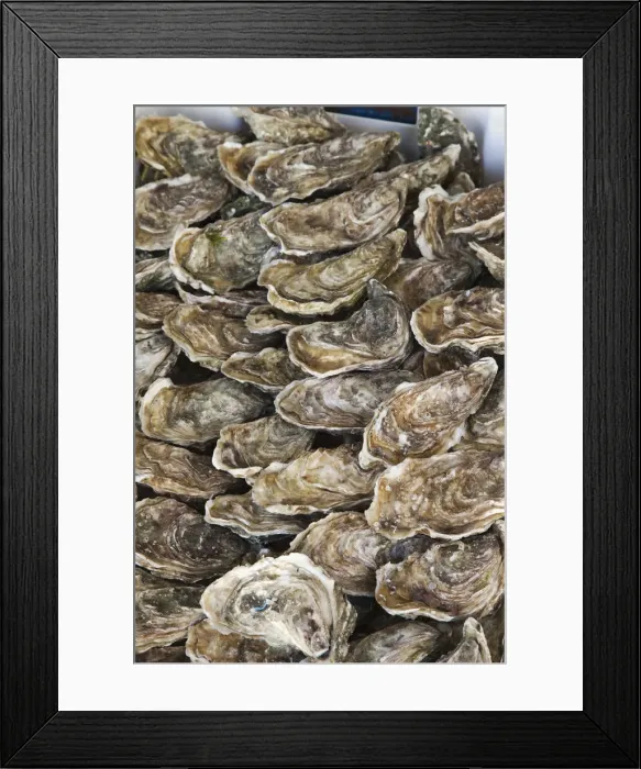 Framed Print : France, Normandy, Honfleur, Oysters Framed Print : France, Normandy, Honfleur, Oysters