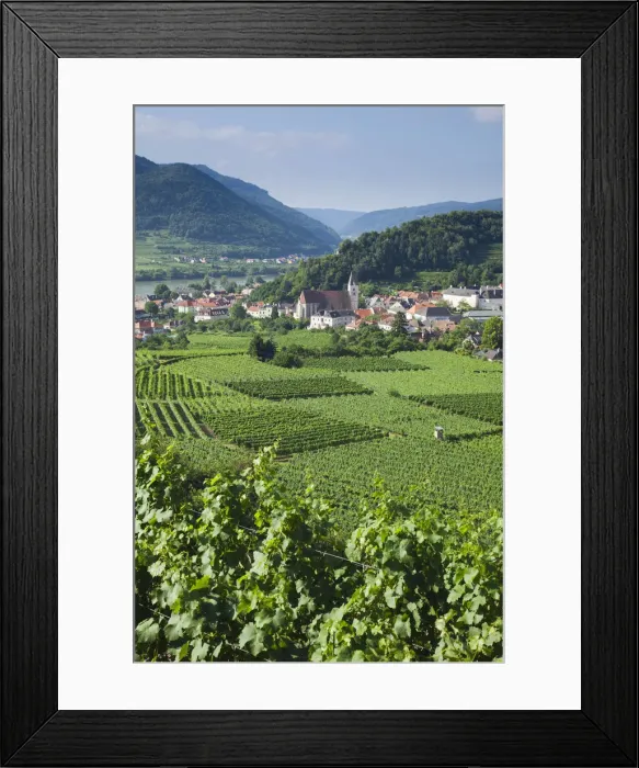 Framed Print : Austria, Wachau, Spitz and Danube River Framed Print : Austria, Wachau, Spitz and Danube River
