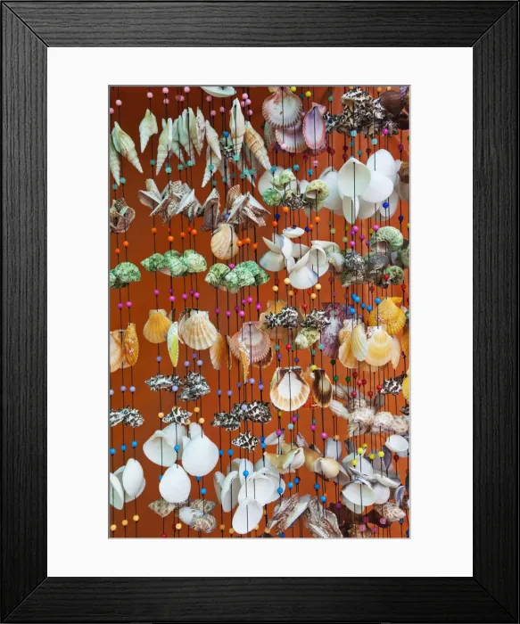 Framed Print : Thailand, Trat Province, Koh Chang, Bang Bao, Souvenir Seashells Framed Print : Thailand, Trat Province, Koh Chang, Bang Bao, Souvenir Seashells