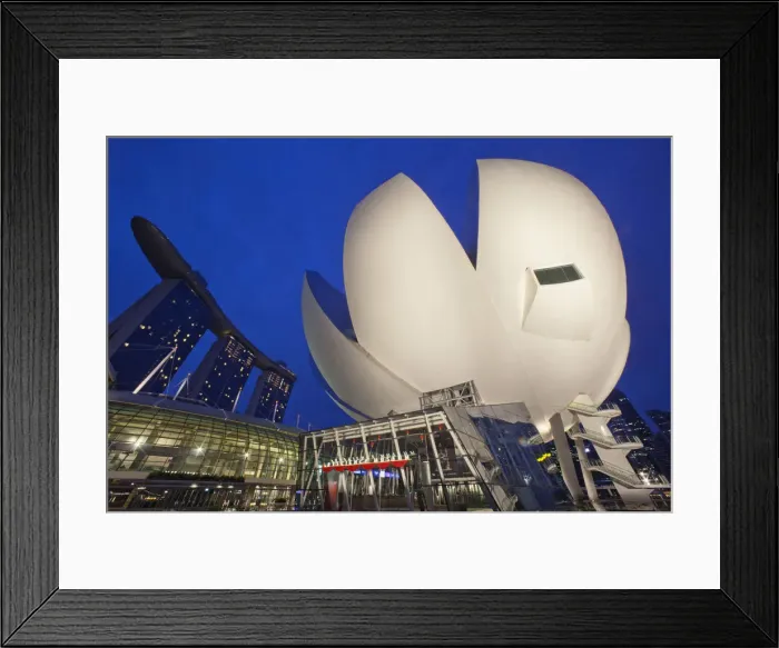 Framed Print : Singapore, Arts Science Museum Framed Print : Singapore, Arts Science Museum