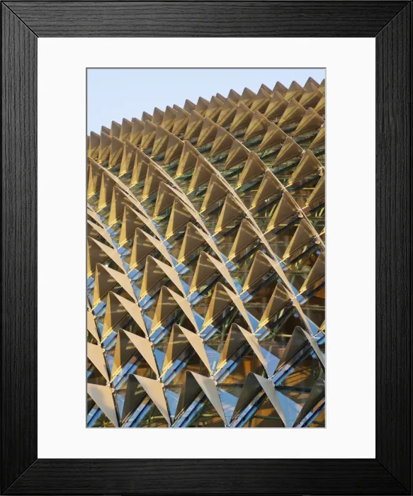Framed Print : Singapore, Theatres on the Bay aka The Durian Framed Print : Singapore, Theatres on the Bay aka The Durian