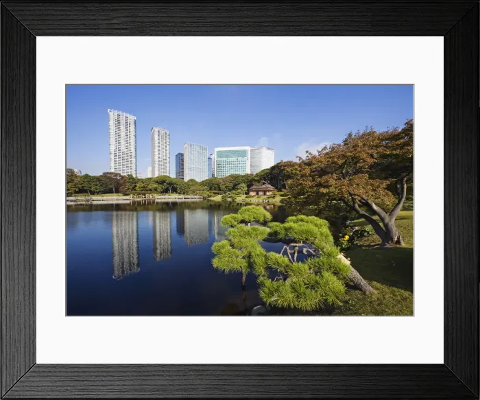 Framed Print : Japan, Tokyo, Hama Rikyu Japanese Garden and Shiodome Area Skyline Framed Print : Japan, Tokyo, Hama Rikyu Japanese Garden and Shiodome Area Skyline