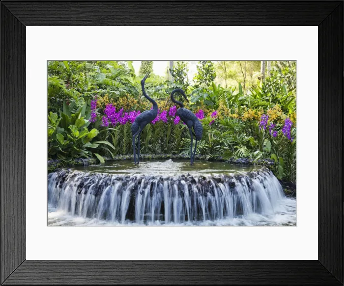 Framed Print : Singapore, Botanic Gardens, Orchid Gardens Framed Print : Singapore, Botanic Gardens, Orchid Gardens