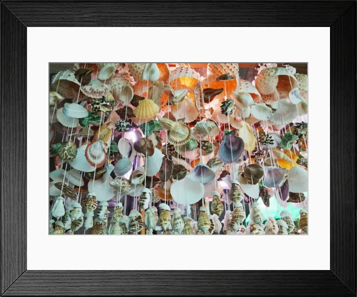 Framed Print : Thailand, Trat Province, Koh Chang, Bang Bao, Souvenir Seashells Framed Print : Thailand, Trat Province, Koh Chang, Bang Bao, Souvenir Seashells