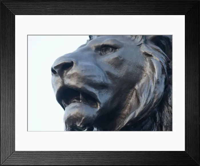 Framed Print : England, London, Buckingham Palace, Queen Victoria Memorial Statue, Detail of Lion s Framed Print : England, London, Buckingham Palace, Queen Victoria Memorial Statue, Detail of Lion s