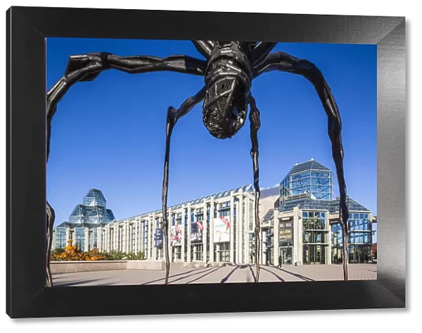 Canada, Ontario, Ottowa, capital of Canada, National Gallery and Maman sculpture
