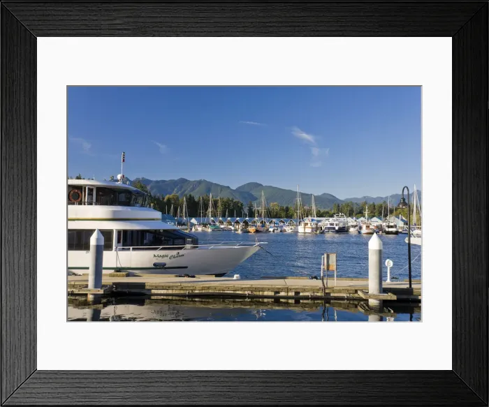 Framed Print : Yachts moored in Coal Harbour, Vancouver, British Columbia, Canada Framed Print : Yachts moored in Coal Harbour, Vancouver, British Columbia, Canada