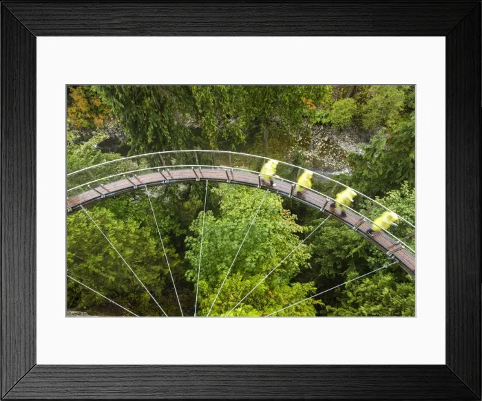 Framed Print : Tourists in Capilano Suspension Bridge and Park, Vancouver, British Columbia, Canada Framed Print : Tourists in Capilano Suspension Bridge and Park, Vancouver, British Columbia, Canada