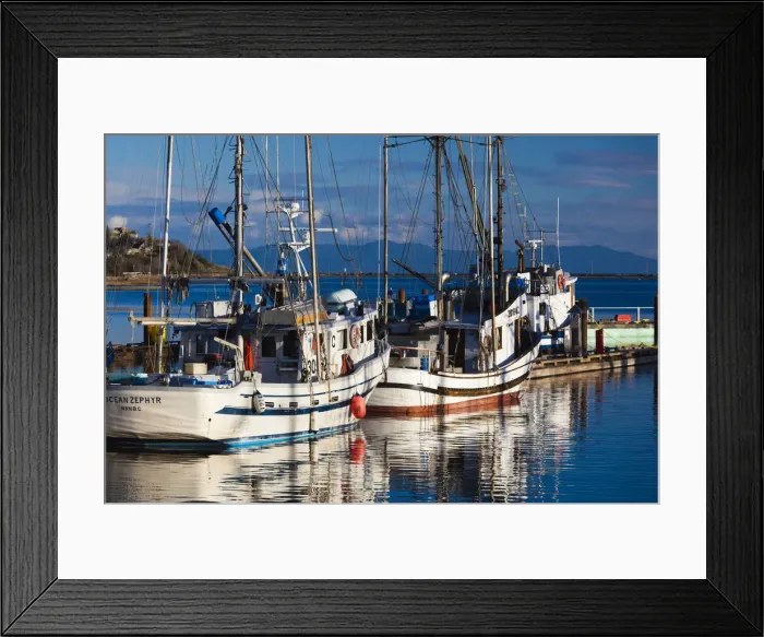 Framed Print : Canada, British Columbia, Vancouver Island, Comox, Comox Harbour, fishing boats Framed Print : Canada, British Columbia, Vancouver Island, Comox, Comox Harbour, fishing boats
