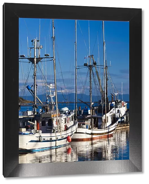 Canada, British Columbia, Vancouver Island, Comox, Comox Harbour, fishing boats