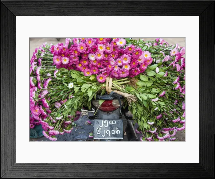 Framed Print : Flowers on back of motorcycle, market, Mandalay, Myanmar (Burma) Framed Print : Flowers on back of motorcycle, market, Mandalay, Myanmar (Burma)