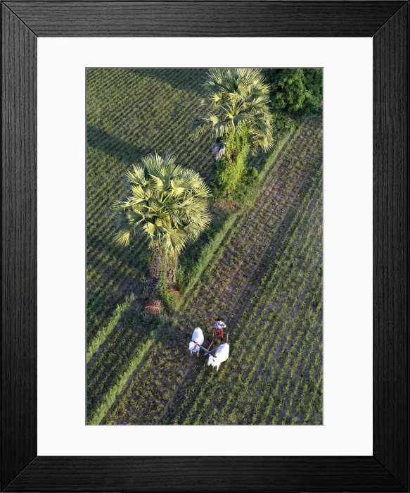 Framed Print : Myanmar (Burma), Temples of Bagan (Unesco world Heritage Site)