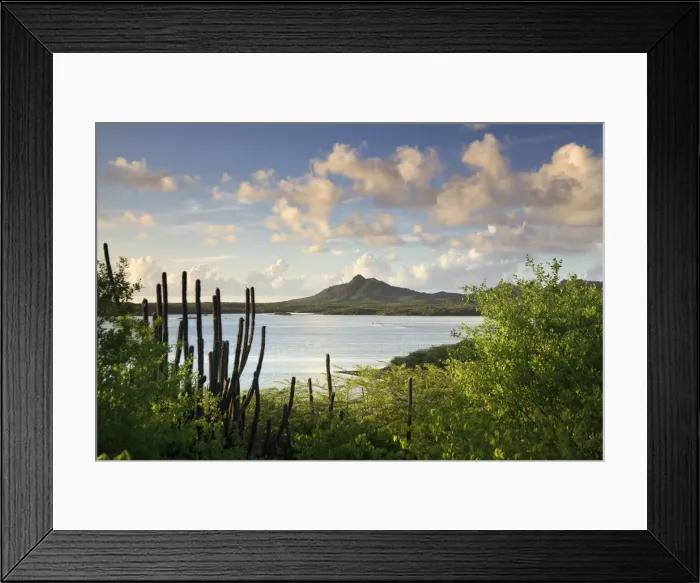 Framed Print : Caribbean, Netherland Antilles, Bonaire, Washington Slagbaai National Park, Flamingoes Framed Print : Caribbean, Netherland Antilles, Bonaire, Washington Slagbaai National Park, Flamingoes