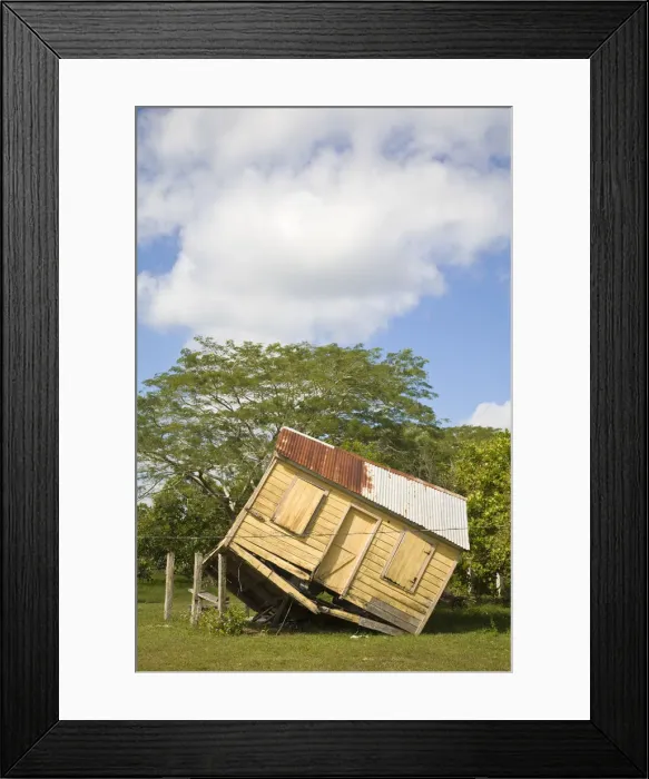 Framed Print : Belize, Crooked Tree Wildlife Sanctuary Framed Print : Belize, Crooked Tree Wildlife Sanctuary
