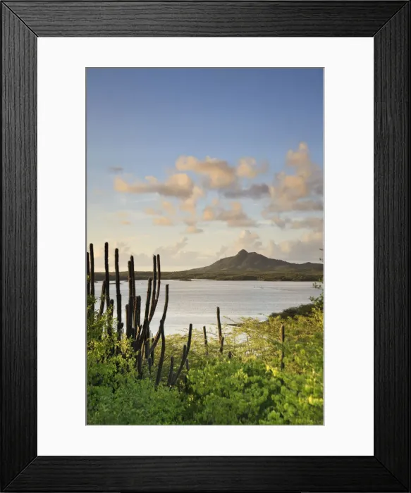 Framed Print : Caribbean, Netherland Antilles, Bonaire, Washington Slagbaai National Park, Flamingoes Framed Print : Caribbean, Netherland Antilles, Bonaire, Washington Slagbaai National Park, Flamingoes
