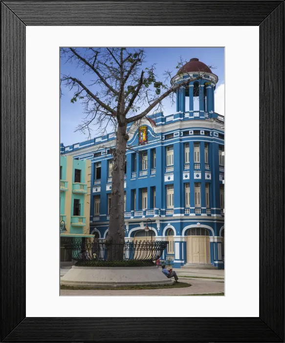 Framed Print : Cuba, Camaguey, Camaguey Province, A Kapok tree at Plaza de los Trabajadores Framed Print : Cuba, Camaguey, Camaguey Province, A Kapok tree at Plaza de los Trabajadores