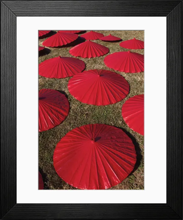 Framed Print : Thailand, Chiang Mai, Borsang Umbrella Making Village, Painted Umbrellas Drying Framed Print : Thailand, Chiang Mai, Borsang Umbrella Making Village, Painted Umbrellas Drying