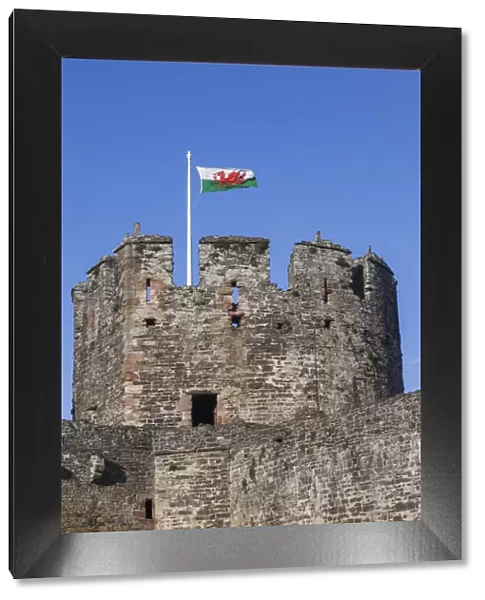 Wales, Conwy, Conwy Castle