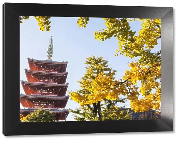 Japan, Honshu, Tokyo, Asakusa, Sensoji Temple aka Asakusa Kannon Temple
