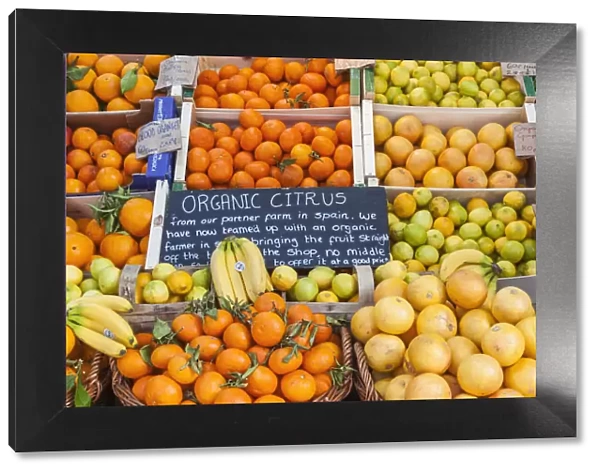 England, London, Southwark, Borough Market, Display of Organic Citrus Fruit