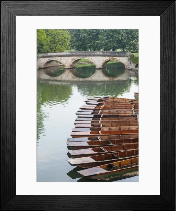 Framed Print : England, Cambridgeshire, Cambridge, The Backs Framed Print : England, Cambridgeshire, Cambridge, The Backs
