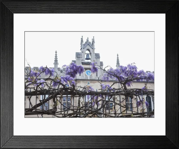 Framed Print : England, Cambridgeshire, Cambridge, Sidney Sussex College Framed Print : England, Cambridgeshire, Cambridge, Sidney Sussex College