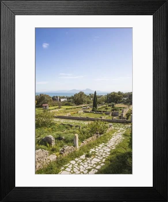 Framed Print : Tunisia, Tunis, Carthage, Roman Villas