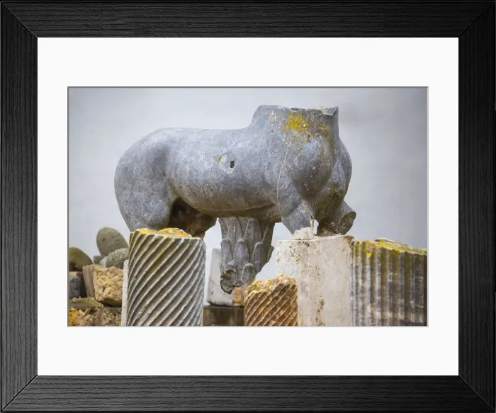 Framed Print : Tunisia, Tunis, Carthage, Byrsa Hill, Animal statue Framed Print : Tunisia, Tunis, Carthage, Byrsa Hill, Animal statue