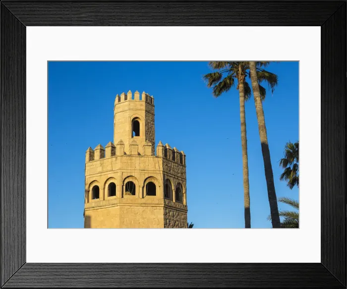 Framed Print : Tunisia, Monastir, Madina, Watch tower