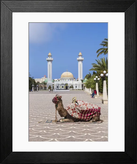 Framed Print : Tunisia, Monastir, Camel infront of Bourguiba mausoleum Framed Print : Tunisia, Monastir, Camel infront of Bourguiba mausoleum