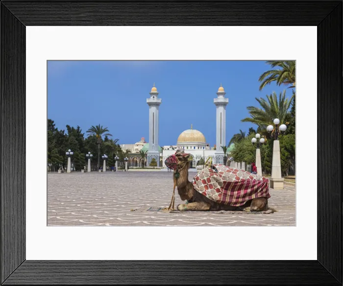 Framed Print : Tunisia, Monastir, Camel infront of Bourguiba mausoleum Framed Print : Tunisia, Monastir, Camel infront of Bourguiba mausoleum