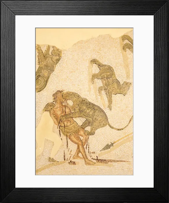 Framed Print : Tunisia, El Jem, Mosaics at Archaeology musuem Framed Print : Tunisia, El Jem, Mosaics at Archaeology musuem