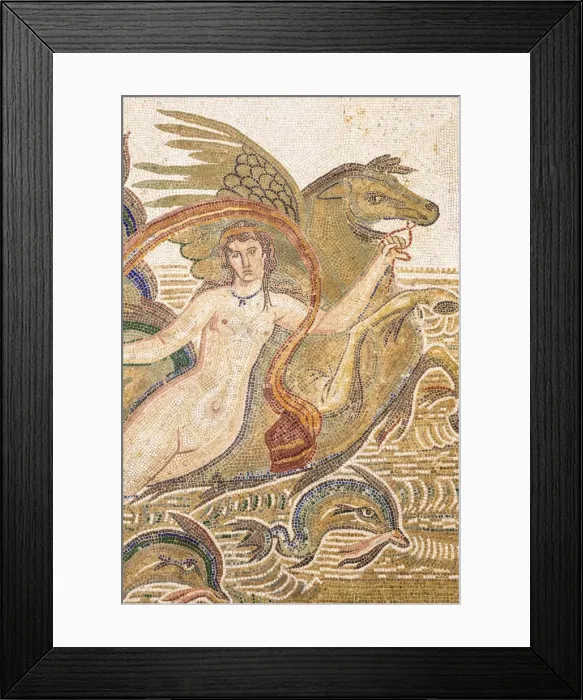 Framed Print : Tunisia, El Jem, Mosaics at Archaeology musuem Framed Print : Tunisia, El Jem, Mosaics at Archaeology musuem