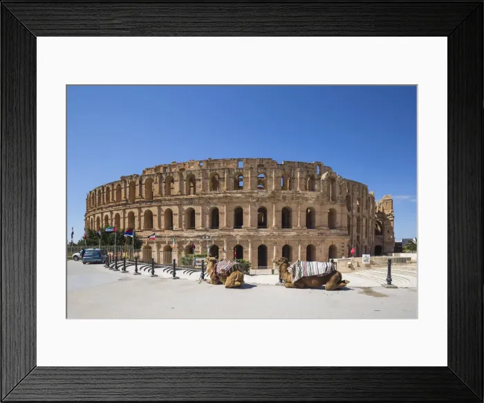 Framed Print : Tunisia, El Jem, Camels in front of Roman Amphitheatre