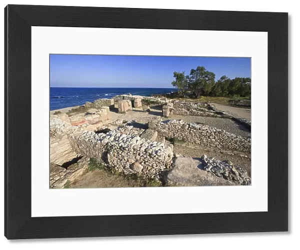 Africa, Tunisia, Ruins of the Punic city of Kerkouane (500 BC circa), UNESCO World
