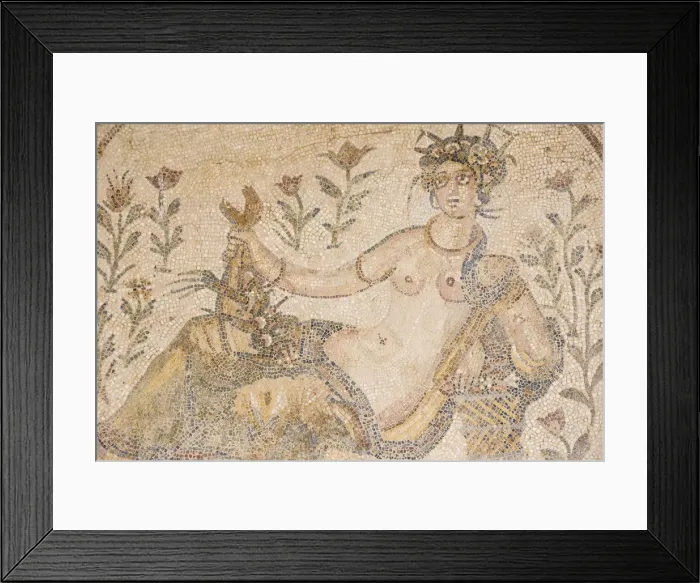 Framed Print : Tunisia, Tunis, Carthage, Byrsa Hill, Mosaics Framed Print : Tunisia, Tunis, Carthage, Byrsa Hill, Mosaics