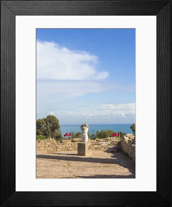Framed Print : Tunisia, Tunis, Carthage, Roman Villas