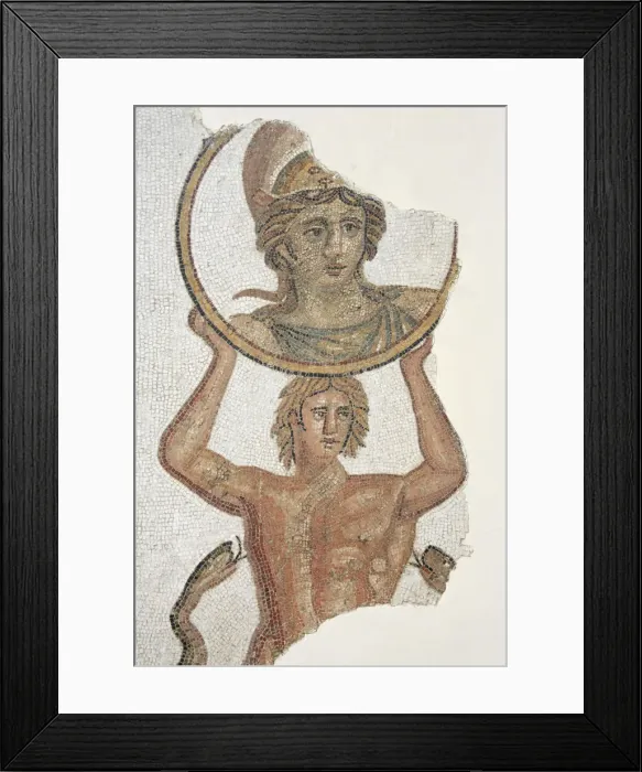 Framed Print : Africa, Tunisia, Tunis, Bardo Museum, Mosaics