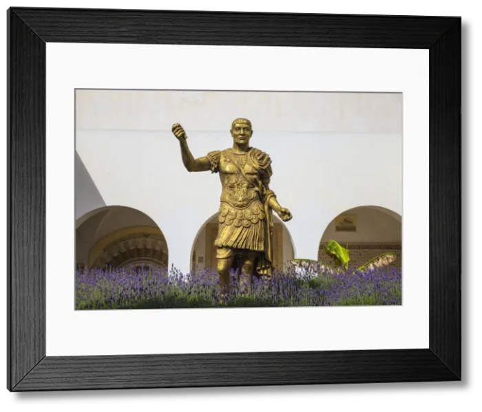 Framed Print : Tunisia, El Jem, Statue at Archaeology musuem