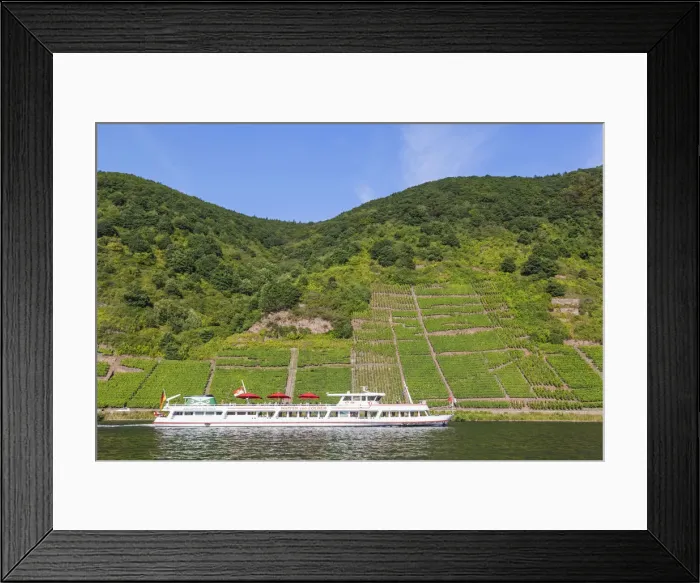 Framed Print : Germany, Rhineland-Palatinate, Moselle, Cruiseboat and Vineyards Framed Print : Germany, Rhineland-Palatinate, Moselle, Cruiseboat and Vineyards