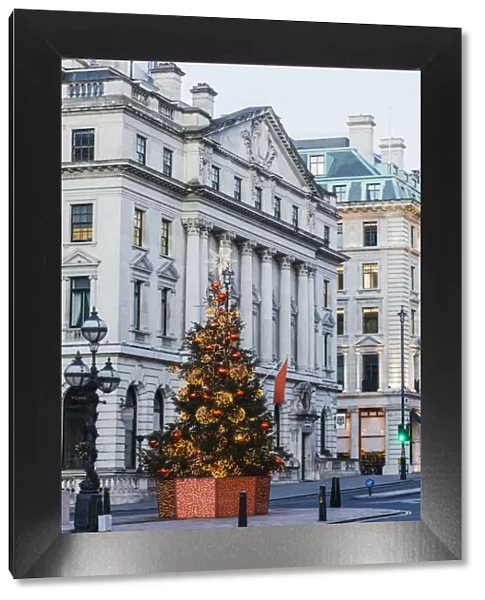 England, London, Regent Street, Waterloo Place and St James Christmas Tree