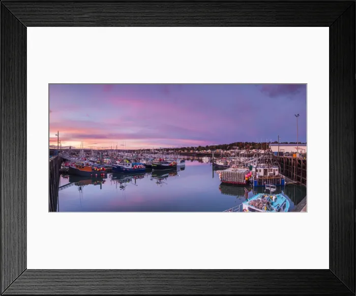 Framed Print : Canada, Nova Scotia, Digby, port area, worlds largest scallop boat fleet, dawn Framed Print : Canada, Nova Scotia, Digby, port area, worlds largest scallop boat fleet, dawn