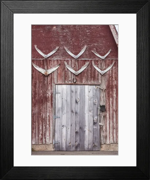 Framed Print : Canada, Prince Edward Island, Malpeque, fishing shack Framed Print : Canada, Prince Edward Island, Malpeque, fishing shack