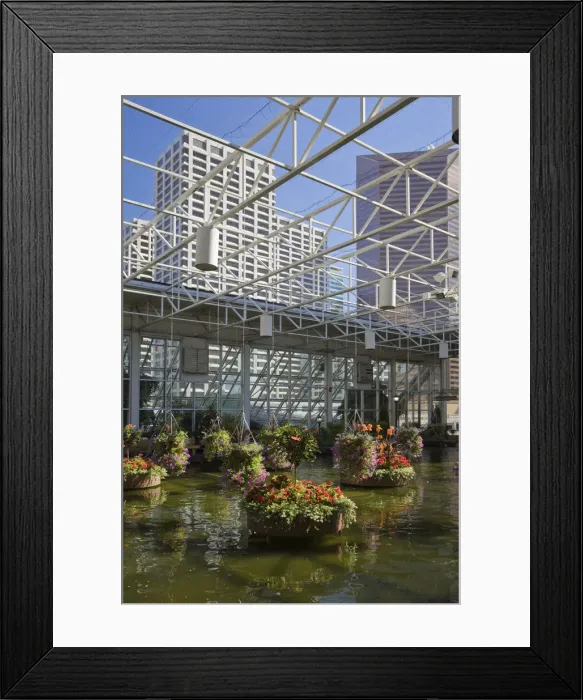 Framed Print : The indoor Devonian Gardens, downtown Calgary, Alberta, Canada Framed Print : The indoor Devonian Gardens, downtown Calgary, Alberta, Canada