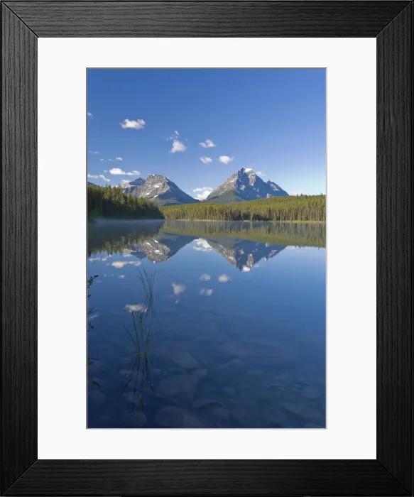 Framed Print : Whirlpool Peak, Mt. Fryatt & Leech Lake, Jasper National Park, Alberta, Canada Framed Print : Whirlpool Peak, Mt. Fryatt & Leech Lake, Jasper National Park, Alberta, Canada