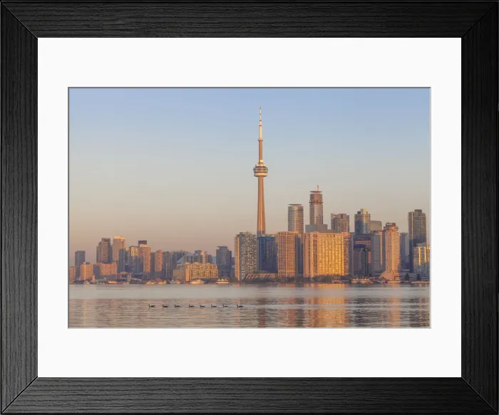Framed Print : Canada, Ontario, Toronto, View of CN Tower and city skyline Framed Print : Canada, Ontario, Toronto, View of CN Tower and city skyline