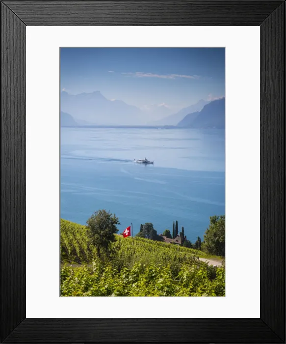 Framed Print : Vineyards above Vevey, Lake Geneva, Vaud, Switzerland Framed Print : Vineyards above Vevey, Lake Geneva, Vaud, Switzerland